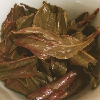 28169753_1675754065814951_763442910_o