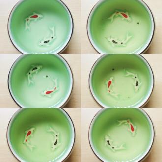 31394668_1745091075547916_9141171160287805440_n