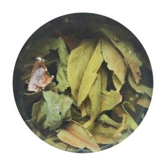 37239765_1841160485940974_417468785356701696_n