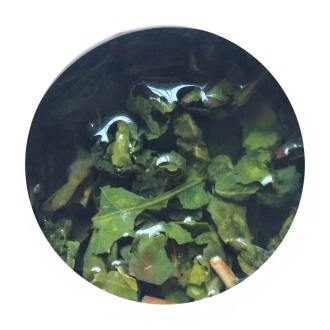 37296715_1839211109469245_8517473687648075776_n