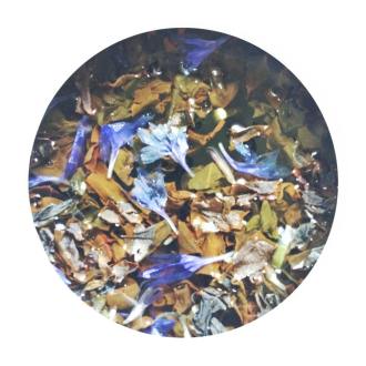 39900642_375432052993449_3308550605328351232_n