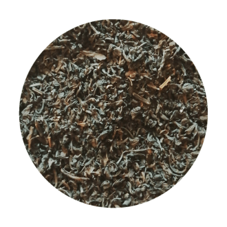 RoundPhoto_Feb112020_181050