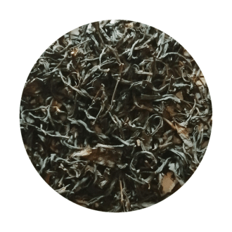 RoundPhoto_Feb152020_145247