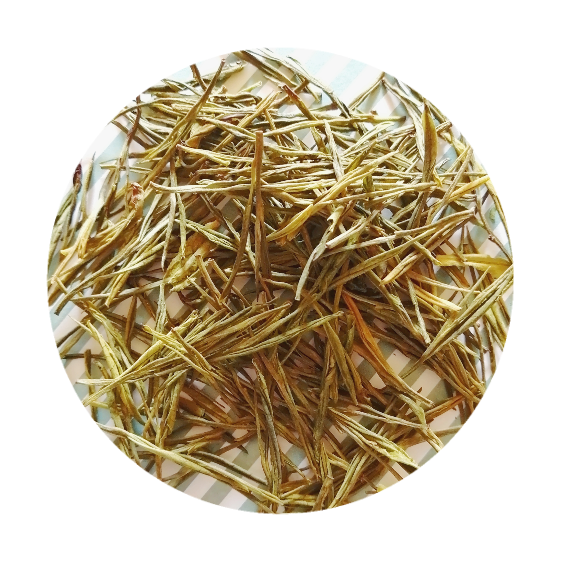 RoundPhoto_Aug162020_175148