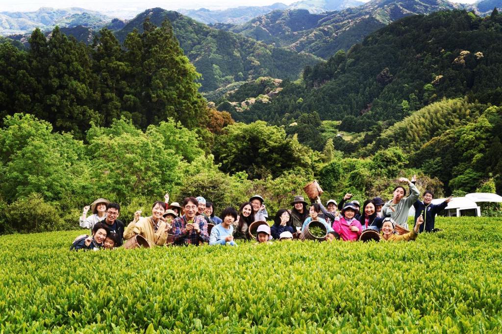 Garden Glimpses – Ayumi Farms (Cyittorattu)