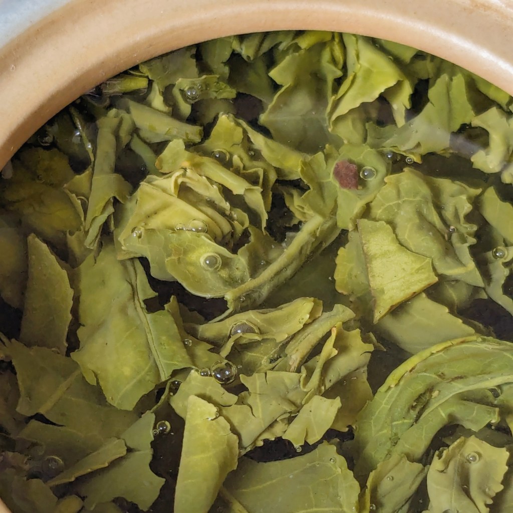 Tasting Sessions – Miyazaki Sabou: Kamairicha (Yabukita Single Cultivar – Reserve)