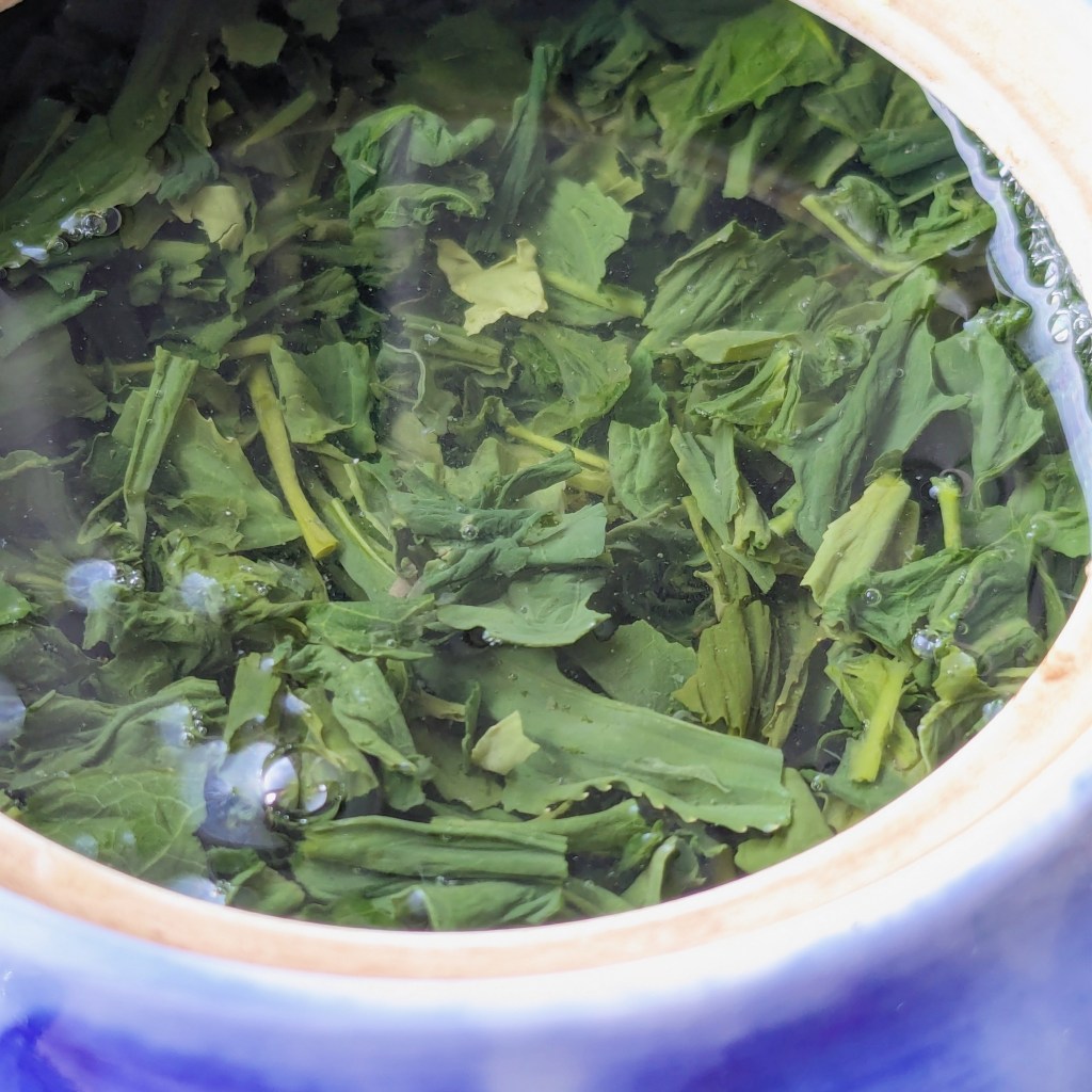 Ippodo’s Ippoen Gyokuro: A Symphony in Gold and Green