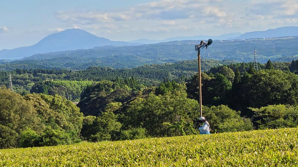 Garden Glimpses – Koukien Tea Garden